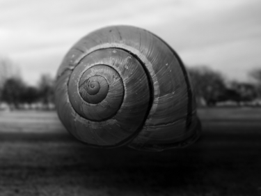 295