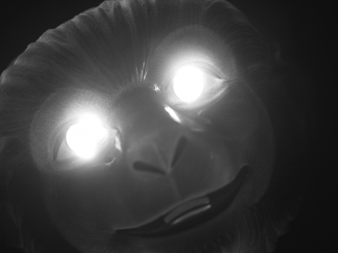 320