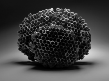 360